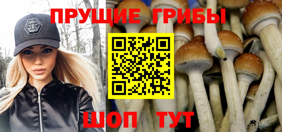 Псилоцибиновые грибы прущие грибы Радужный