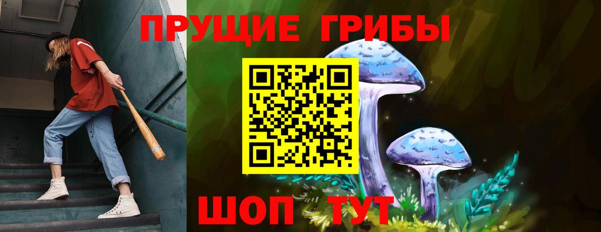 Галлюциногенные грибы мицелий  купить наркотик  Радужный  Вход с VPN 
